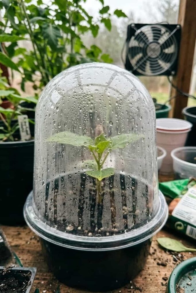 Control Humidity with DIY Ventilation Systems