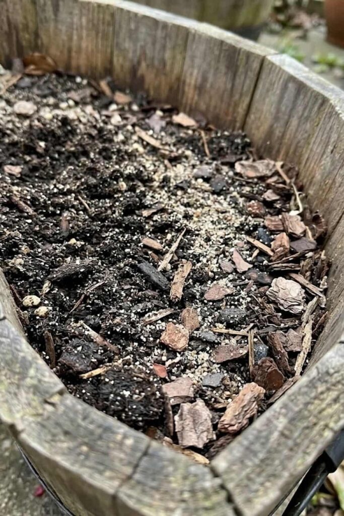 Soil Mix Preparation for Acid-Loving Shrubs