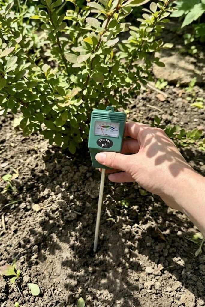 Testing and Adjusting Soil pH Levels
