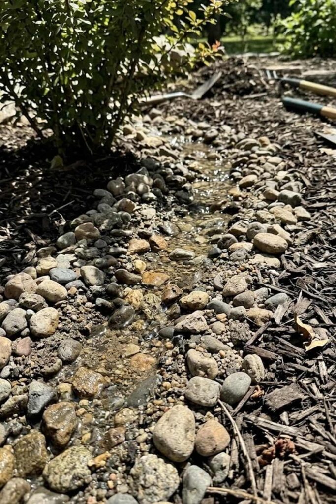 Optimizing Drainage for Mountain Species