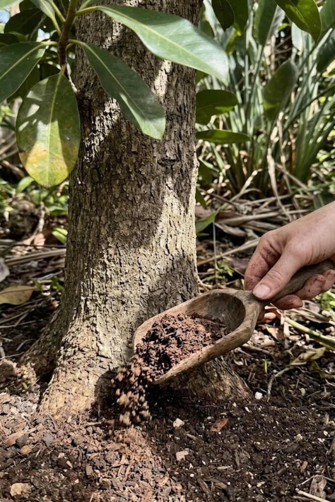Apply Organic Fertilizing Techniques