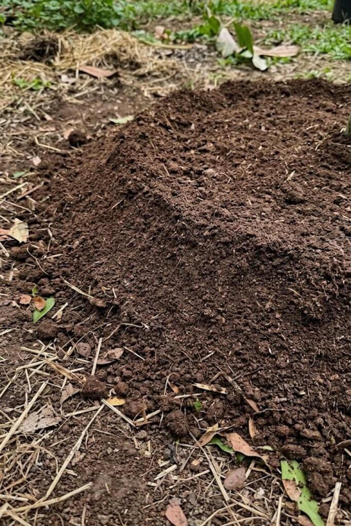 Optimizing Drainage for Root Health