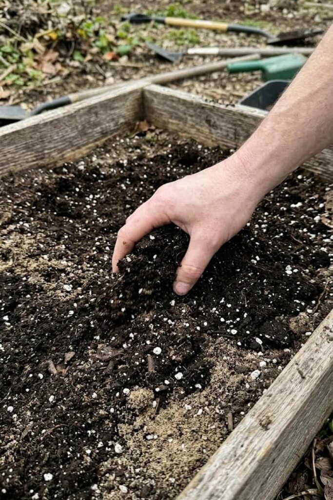 Creating the Perfect Well-Draining Soil Mix