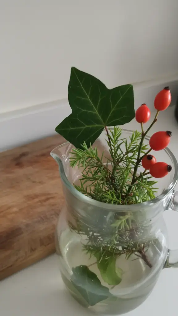 Jug mixing juniper needles, ivy leaves and rose hips in water