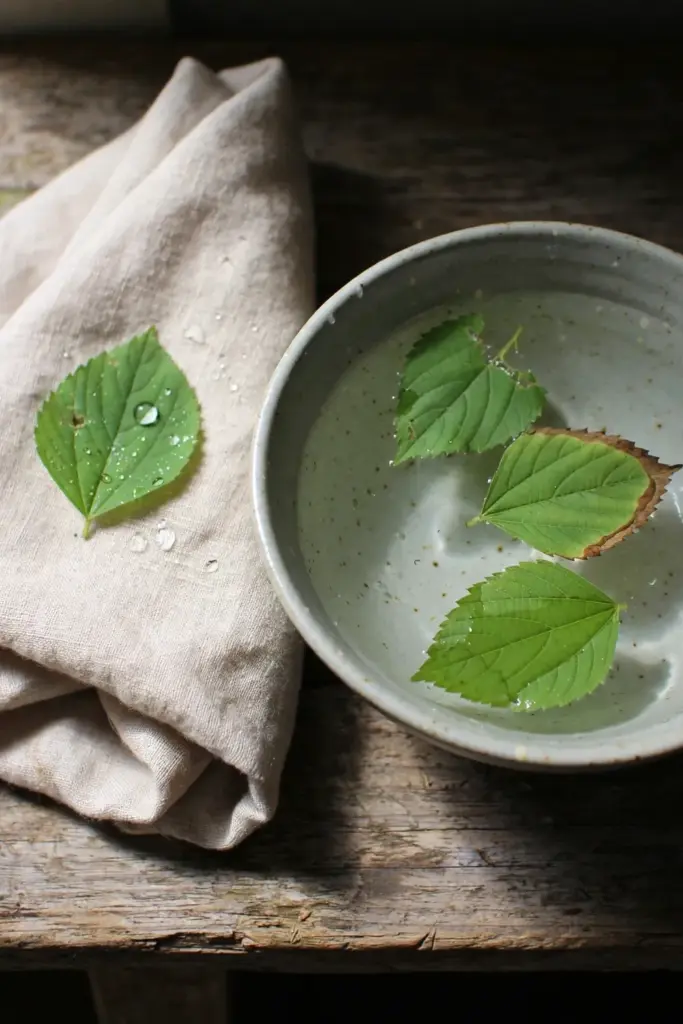 Fresh anting-anting leaves in a shallow bowl of water beside a folded plain cloth