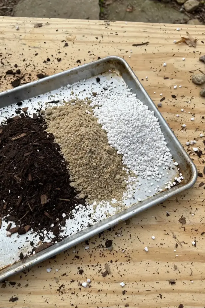 Potting soil, coarse sand, and perlite components for ajwain mix