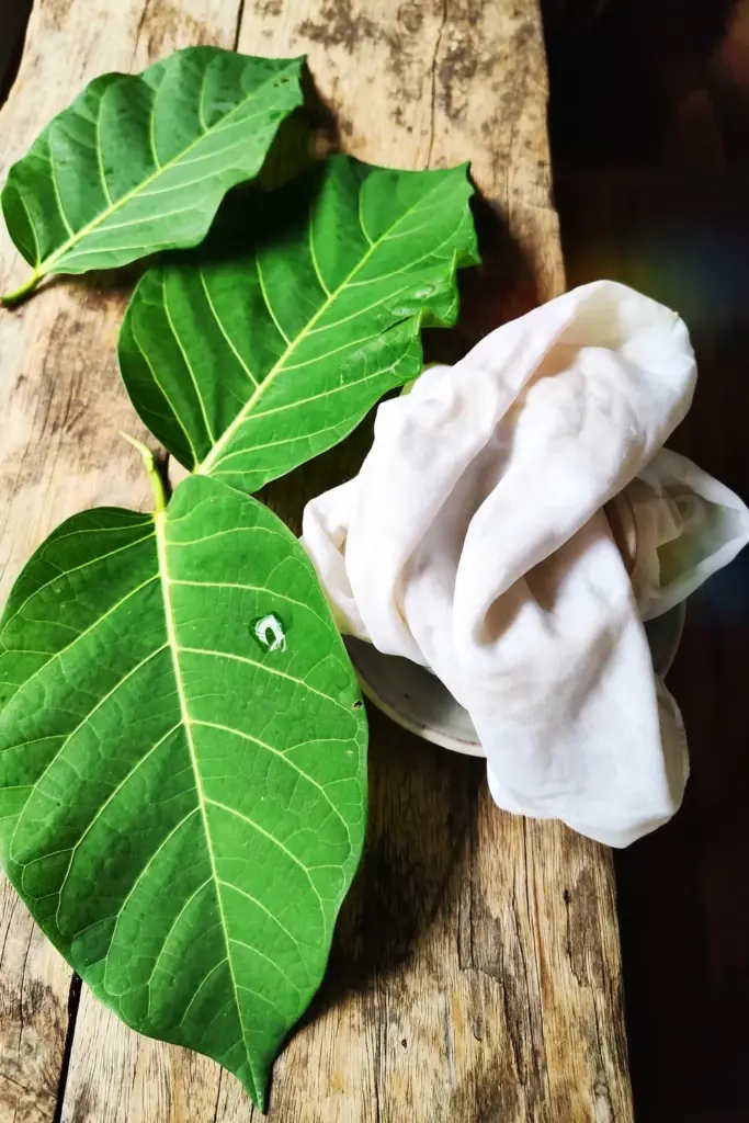 Fresh awar-awar leaves with a clean damp white cloth on a timber board