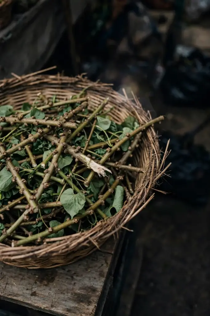 Woven basket of jumbled warty and smooth cut vine stems