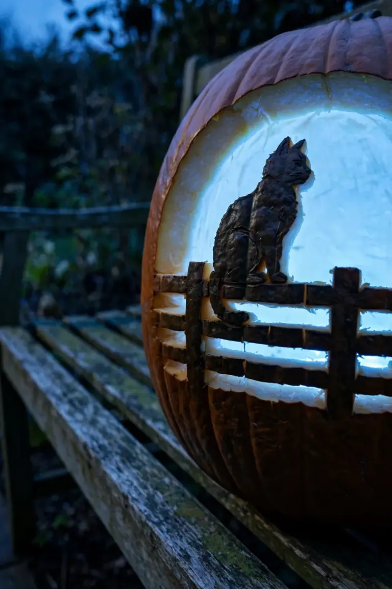 Wide pumpkin carved with a glowing sky around a dark uncut cat shape sitting on a fence rail