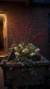 Window box with living winterberry, hellebores, and trailing vinca at a porch window.