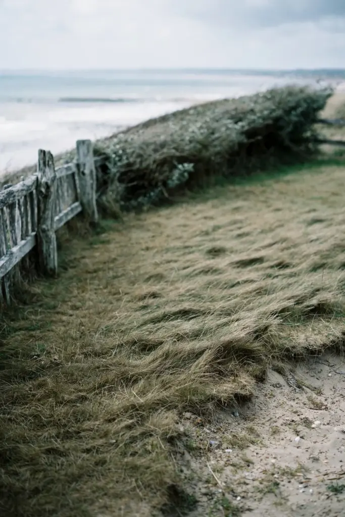 Coastal backyard lawn with a fence and blurred sea beyond