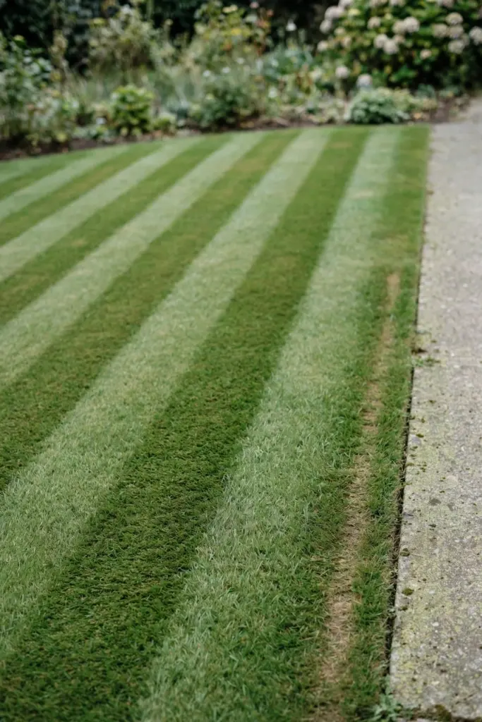 Fine Couch lawn with clean mow stripes and a crisp cut edge