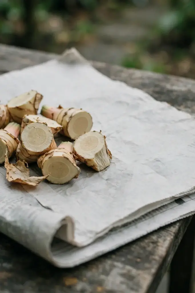 Cut galangal pieces air-drying on newspaper in a shaded spot