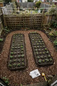 Overhead view of two rectangle garden beds with a loop path, a trellis, and a paper plan beside them