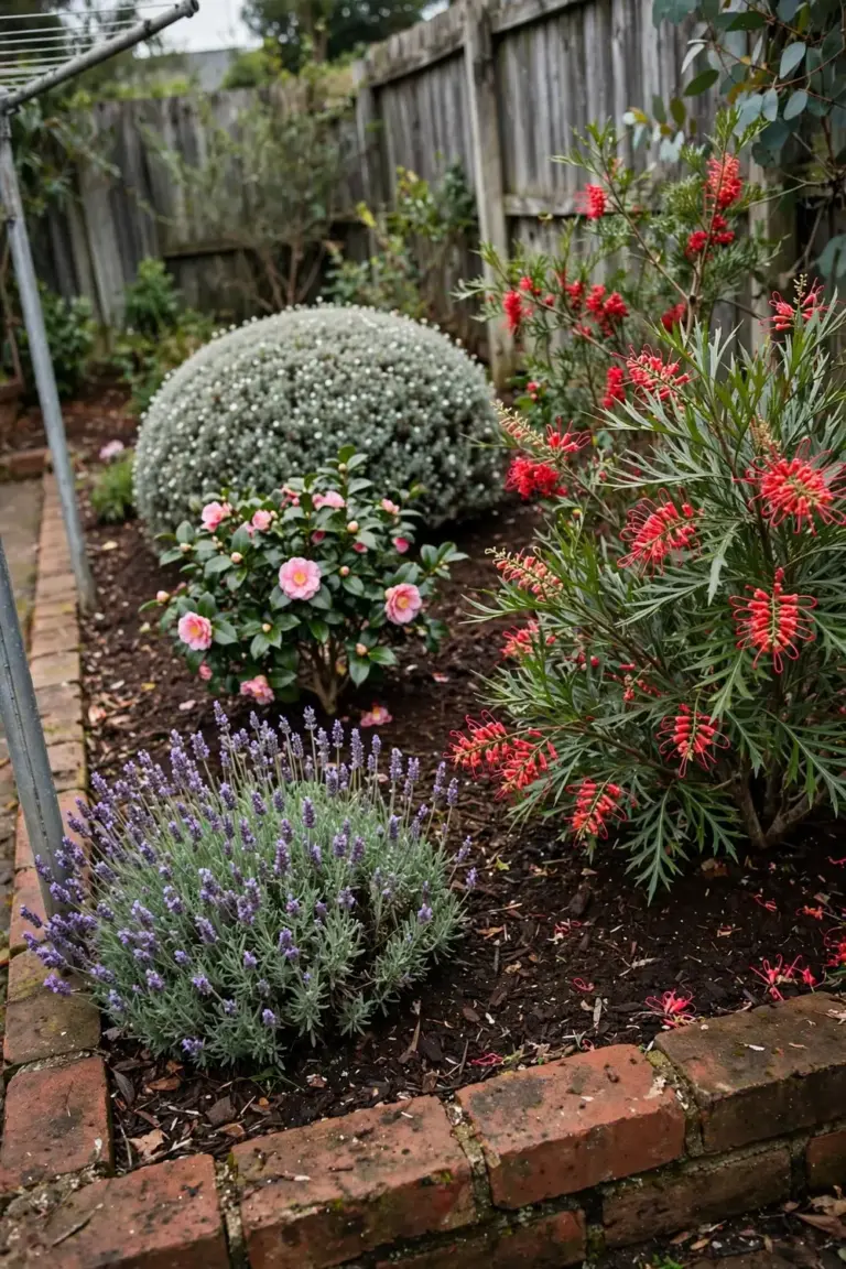 Garden bed with several shrubs in flower