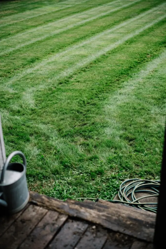 Healthy suburban lawn seen from a porch edge with a watering can resting beside it