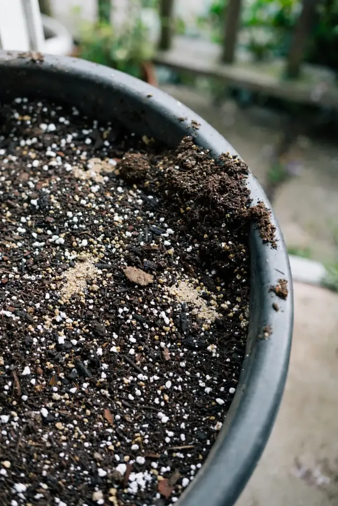 Free-draining potting mix with perlite, sand, and compost in a wide tub