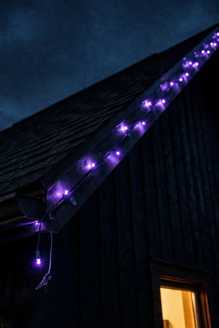 House roofline outlined with a string of purple lights against the dusk sky