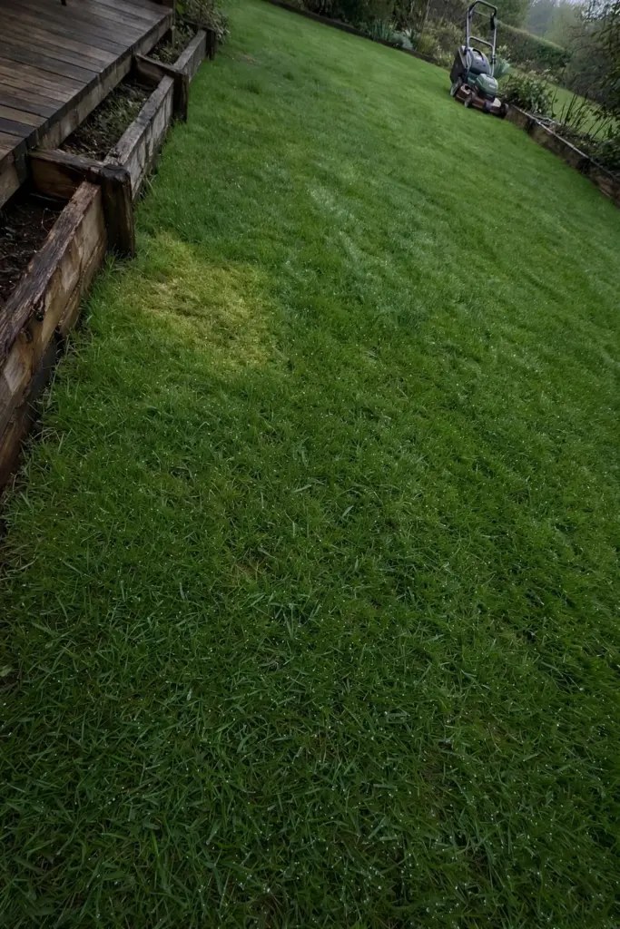 Recovered green lawn in morning light with a mower parked at the edge