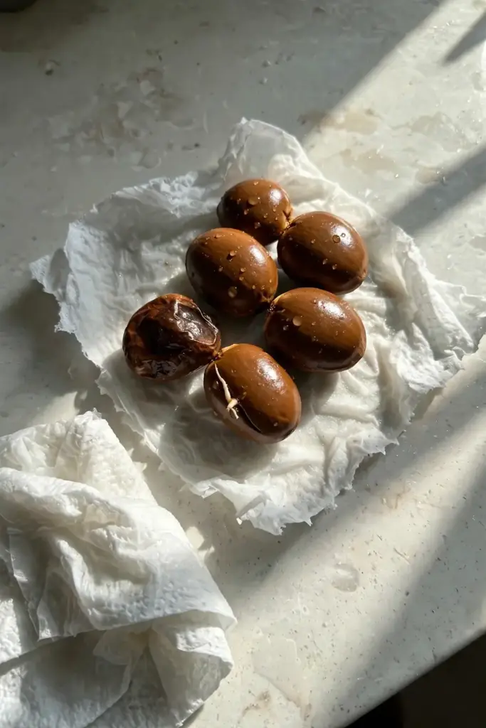Fresh brown santol seeds on a damp paper towel ready for immediate sowing