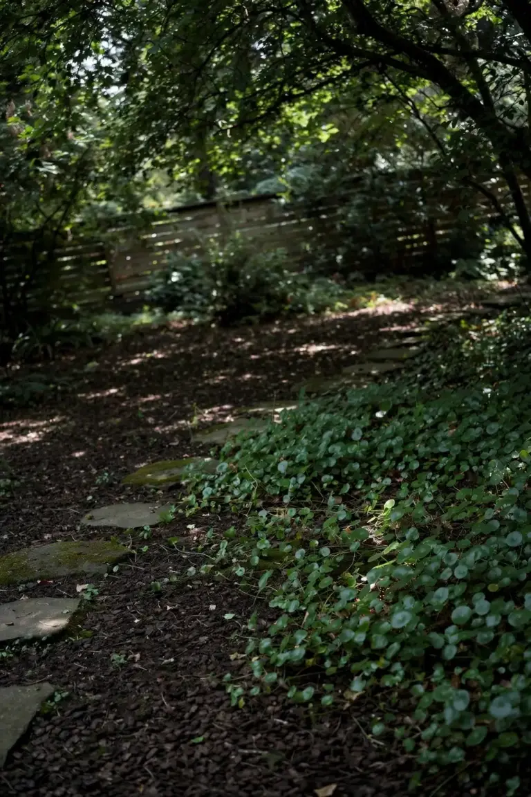 Fully shaded yard with mulch and ground cover instead of lawn