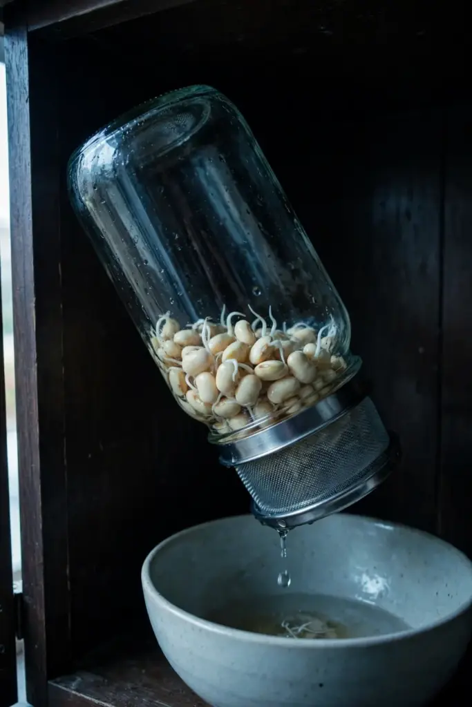 Sprouting jar tilted mouth-down in a bowl inside a dark cabinet