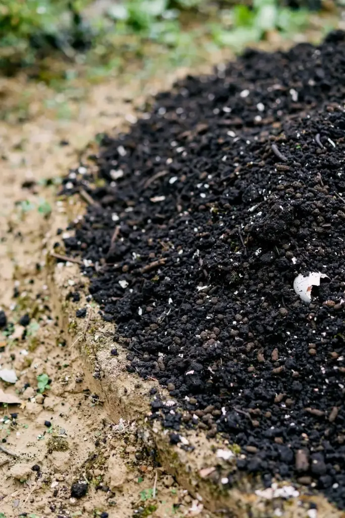Dark finished compost spread over a vegetable bed, feeding soil competition.