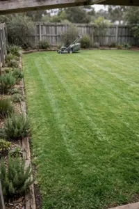 Wide Australian backyard lawn with a mowed green surface and garden beds at the edges