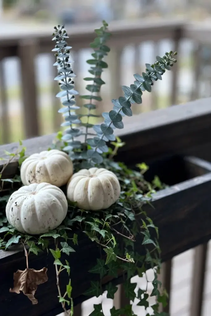Mini white pumpkins nestled in ivy and eucalyptus in a box
