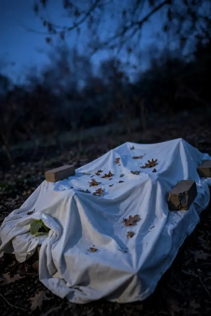 Row cover draped over a vegetable bed at dusk before a frost night