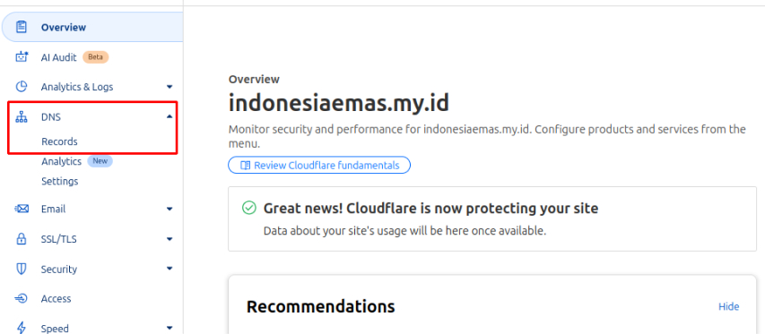 costum domain