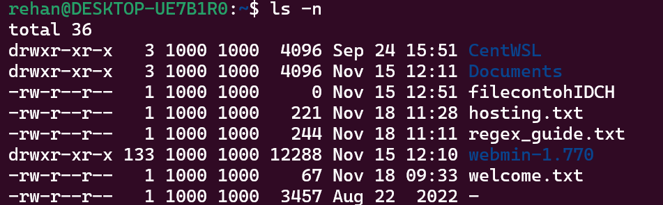 Command opsi -n