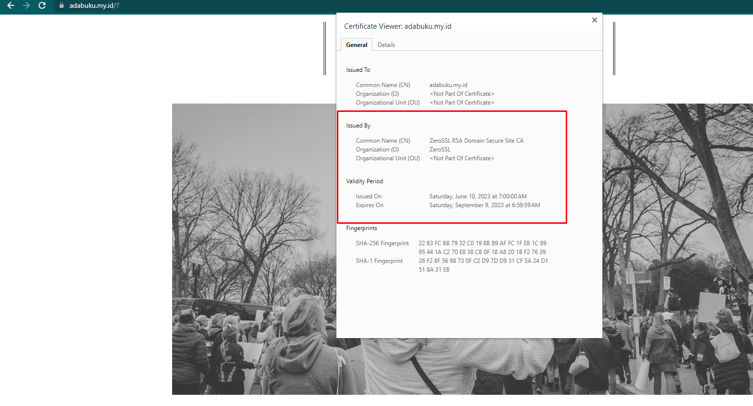 Menambahkan SSL Gratis (Zero SSL) di Hosting wordpress