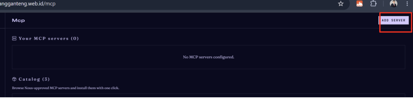 mcp server