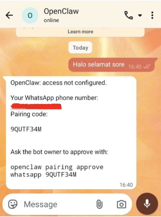 channel whatsapp