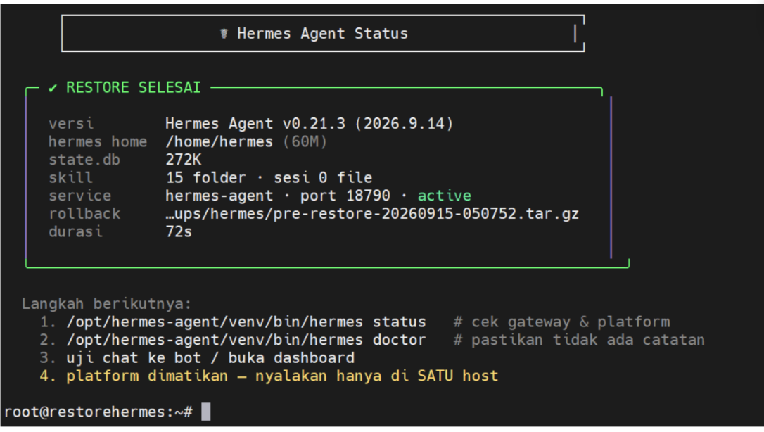 hermes agent