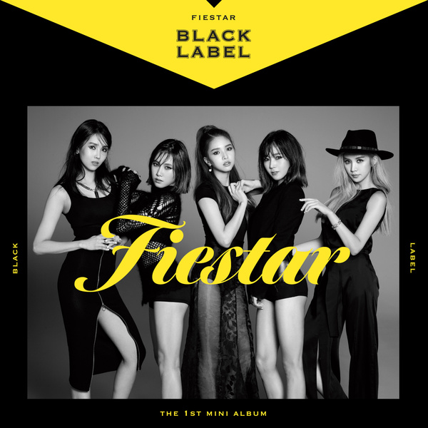 FIESTAR - 짠해 (You're Pitiful) Cover