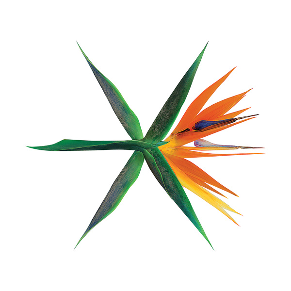 EXO - Forever Cover