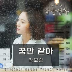 Park Boram - Like A Dream (OST Prison Playbook) Cover