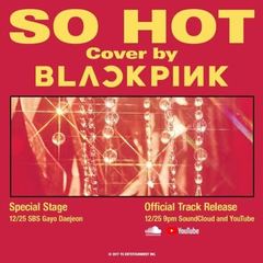 BLACKPINK - So Hot (THEBLACKLABEL Remix) Cover