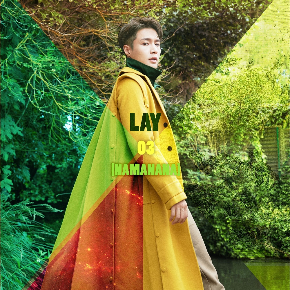 LAY (EXO) - Don't Let Me Go Cover