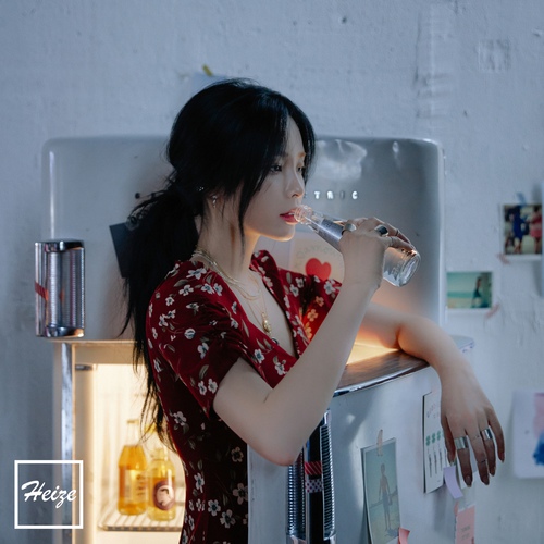 HEIZE - 이유 (No reason) Cover