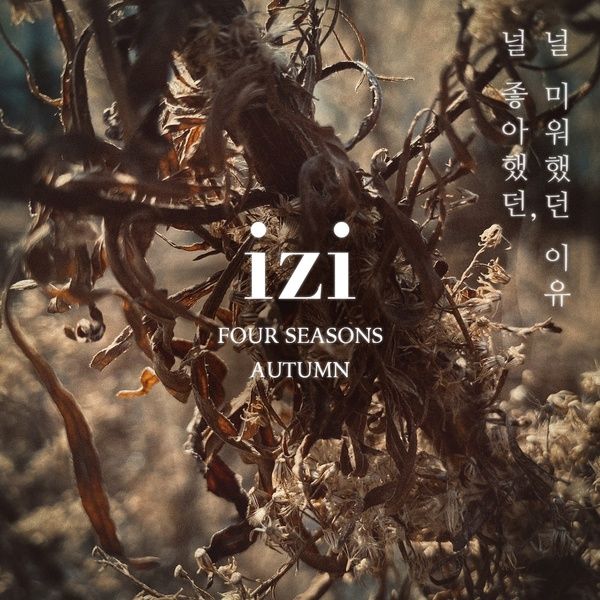 izi - 널 좋아했던,널 미워했던 이유 (The reason i liked you and hated you) Cover