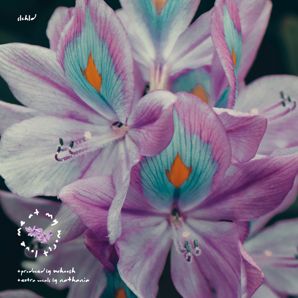 Image Cover