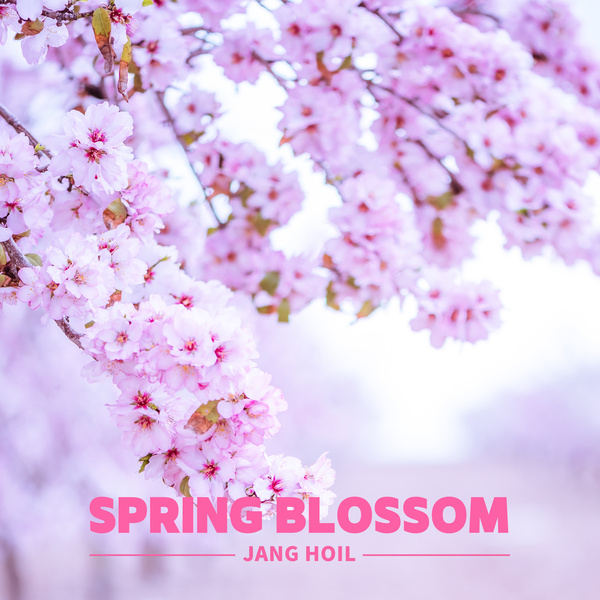 Jang Hoil - Spring Blossom Cover