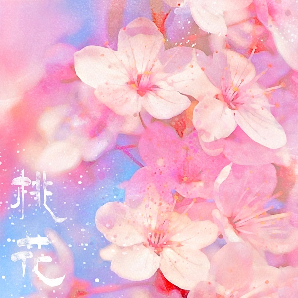 Image Cover