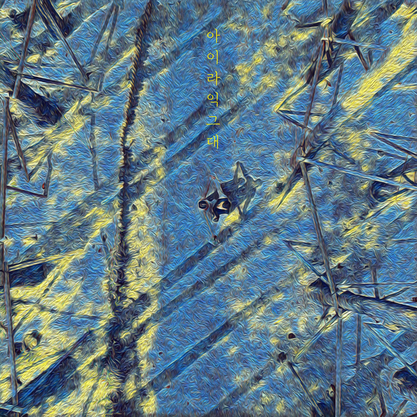 Image Cover