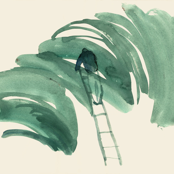 Image Cover