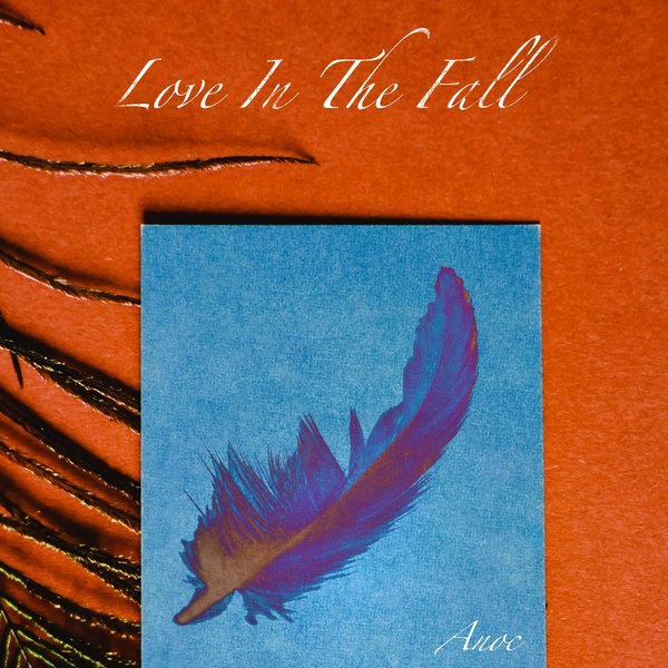 Image Cover