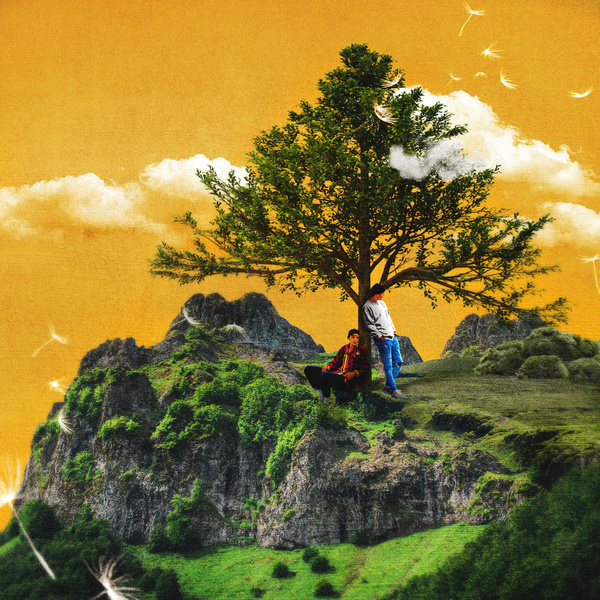 Image Cover